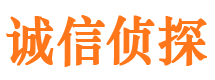 内丘市私人调查